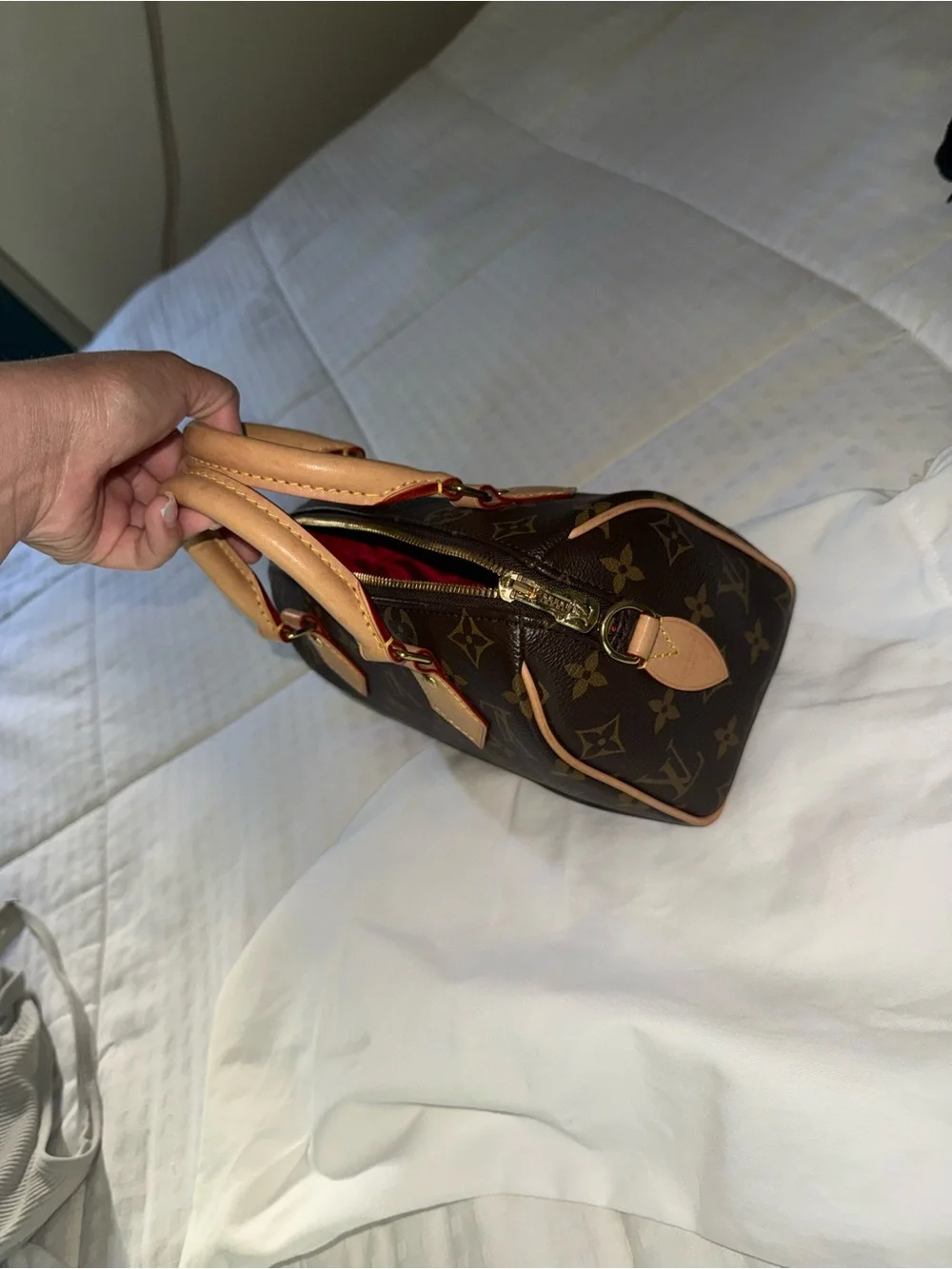 Louis Vuitton Speedy 20